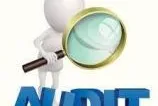 Audit