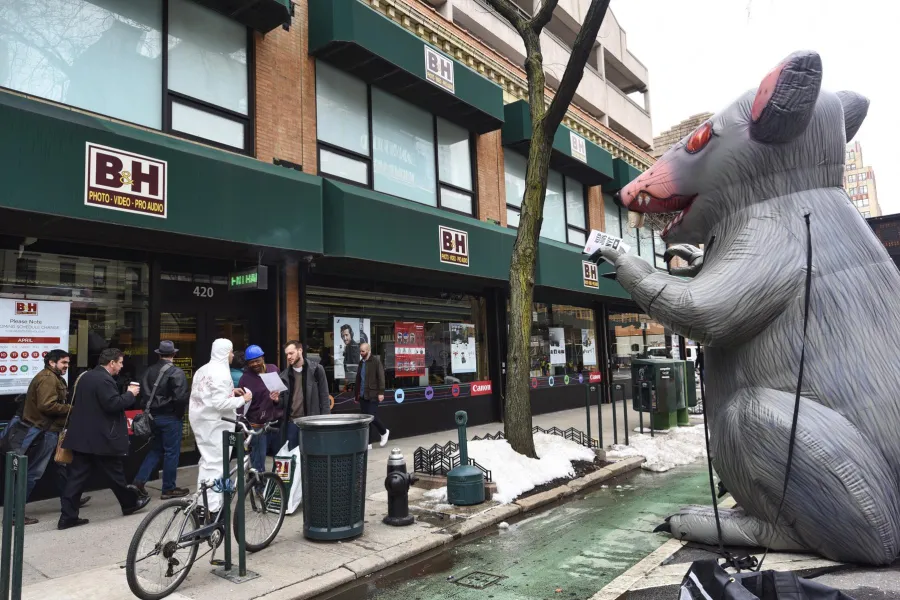 bh-scabby-1.jpeg