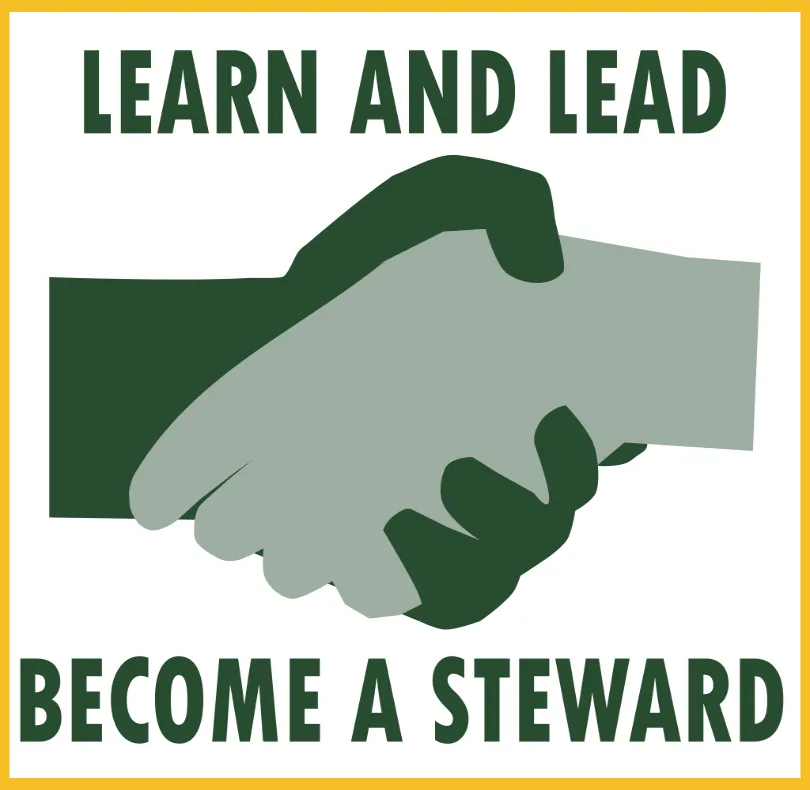 learn and lead, become a steward