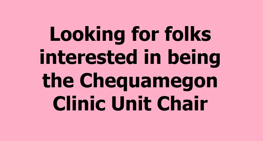 Looking for Chequamegon Unit Chair