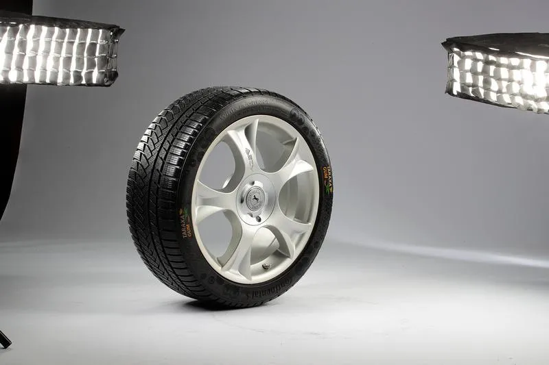 dandelion_tire_03.jpg