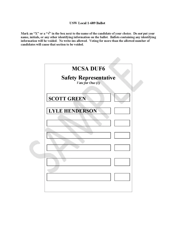 ballot sample