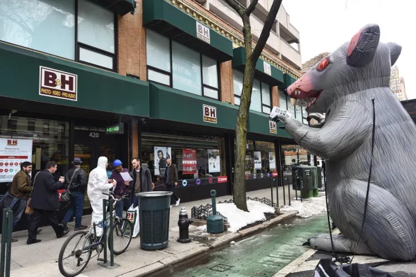 bh-scabby-1.jpeg
